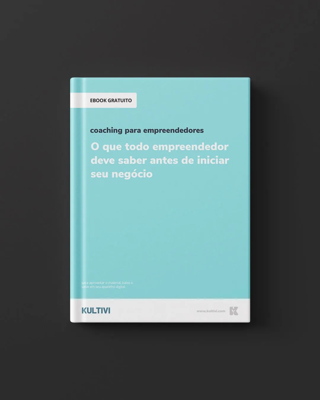 O que todo empreendedor deve saber antes de iniciar seu negócio